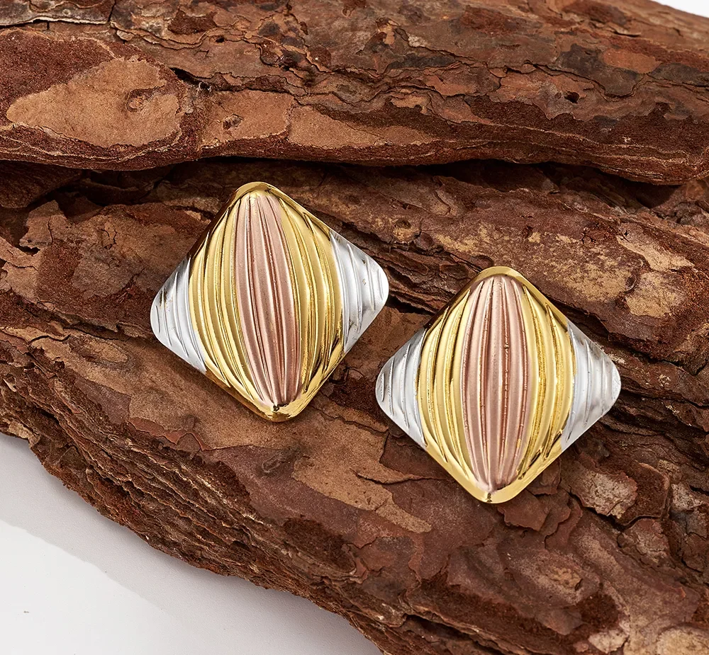 Γυναικεία Σκουλαρίκια CB11524523 Ατσάλι - Image 2