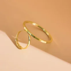 minimal δαχτυλίδι με γεωμετρικό κύκλο σε χρυσό και ασήμι χρώμα.