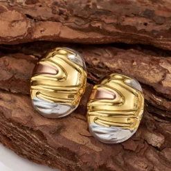 Γυναικεία Σκουλαρίκια CB11524526 Ατσάλι